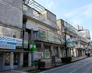 Ryokuentoshi Uematsu Building(Amnis)